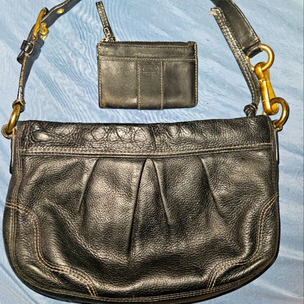 Coach bag and mini wallet